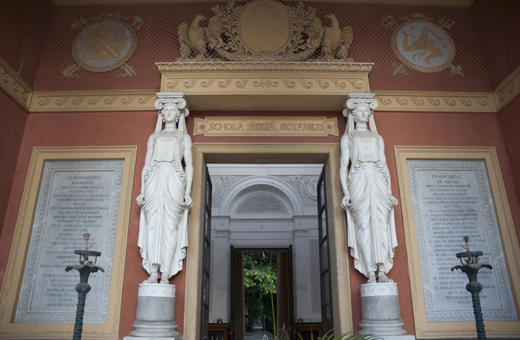 /.content/immagini/hp_new/musei_520x340.jpg?__scale=w:600,h:274,t:2