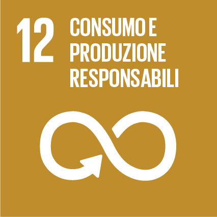 /biblioteche/.content/immagini/agenda2030/SDG-icon-IT-RGB-12.jpg