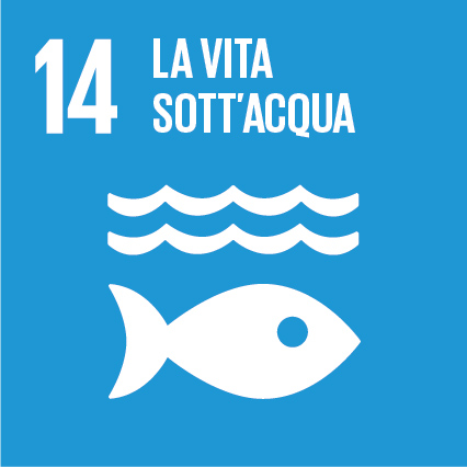 /biblioteche/.content/immagini/agenda2030/SDG-icon-IT-RGB-14.jpg