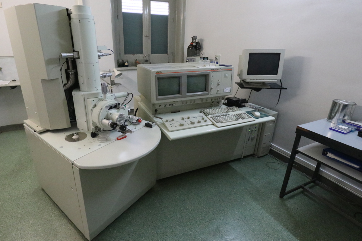 /dipartimenti/bi.n.d./.content/immagini/Gallerie/anatomia_micr_elettronica2.JPG