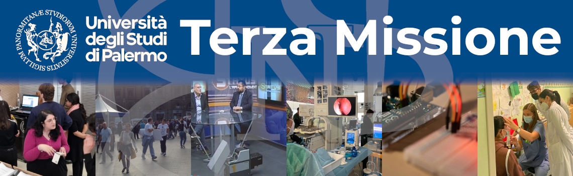 terza missione terza missione