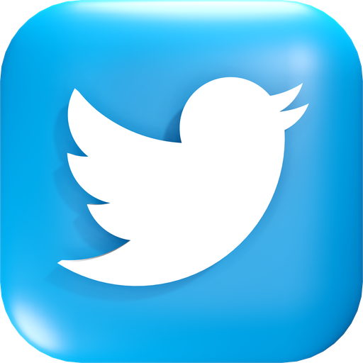 /dipartimenti/di.gi./.content/immagini/twitter_logo.png