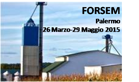 FORSEM