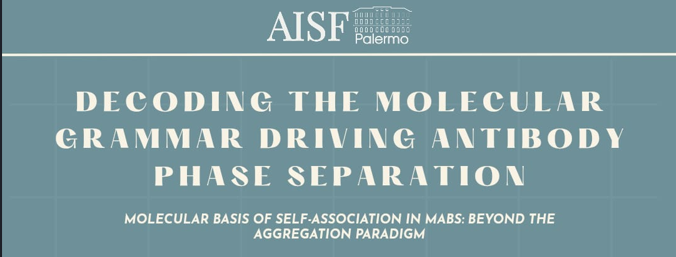 Decoding the molecular grammar driving antibody phase separation. Molecular basis of self-association in mAbs: beyond the aggregation paradigm