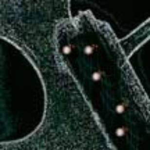 Nanowerk Nanowerk