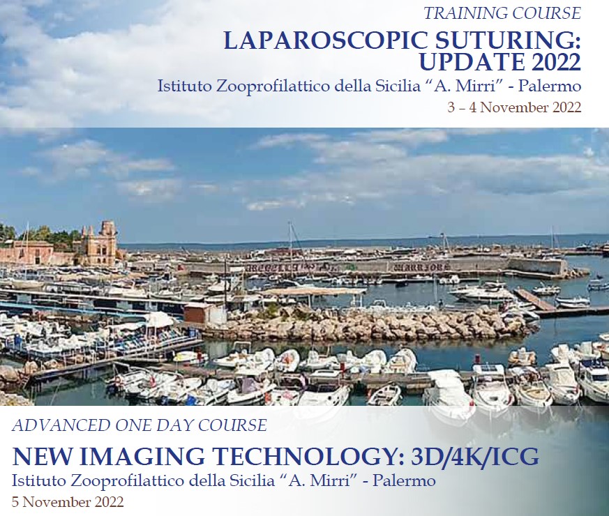 Corso_SICE_2022-11-3_5