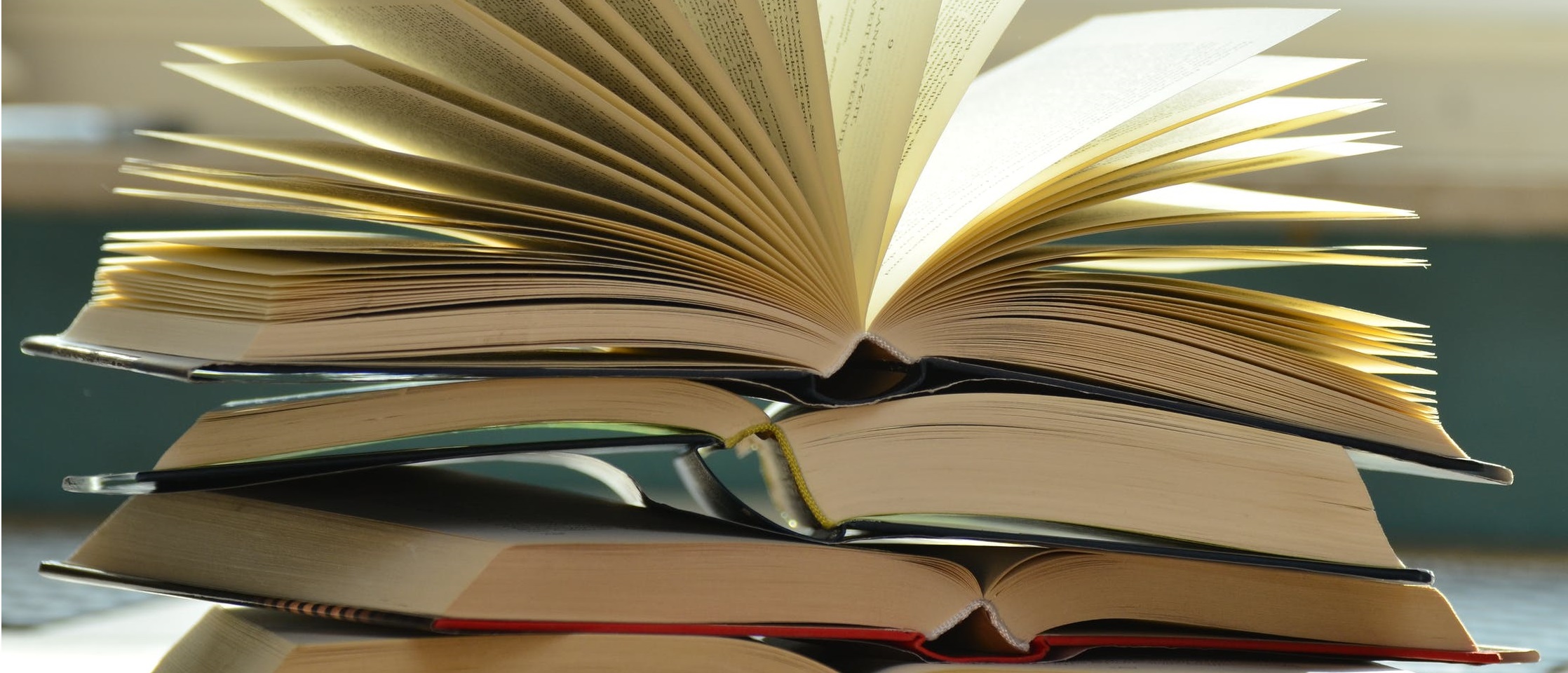 /dipartimenti/seas/.content/immagini/books-book-pages-read-literature-159866.jpeg