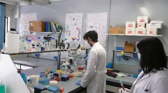 /dipartimenti/stebicef/.content/immagini/Lab-Biotecnologie_31.jpg