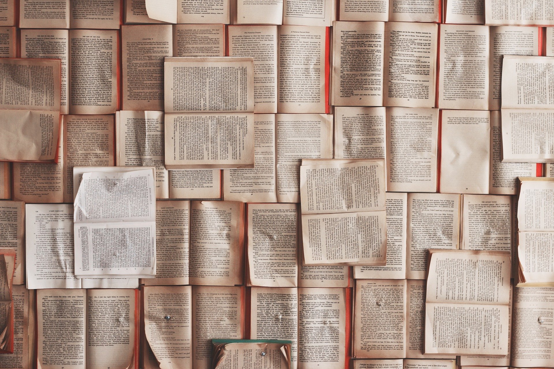 /privacy/.content/immagini/books-1245690_1920-1.jpg?__scale=w:500,h:350,t:2
